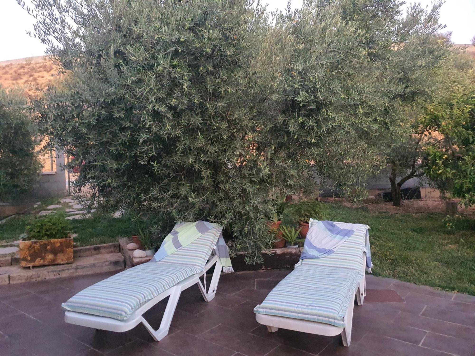 Cazorla Ortiz Chalet Pozo Alcon Luaran gambar